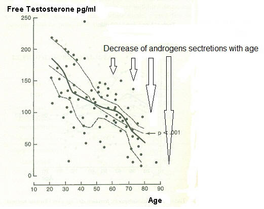 Free testosterone shema